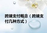 跨境支付概念（跨境支付几种方式）