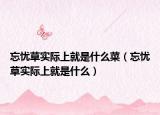 忘忧草实际上就是什么菜（忘忧草实际上就是什么）