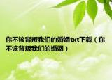 你不该背叛我们的婚姻txt下载（你不该背叛我们的婚姻）