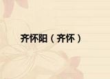 齐怀阳（齐怀）