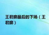 王君廓最后的下场（王君廓）