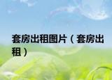 套房出租图片（套房出租）