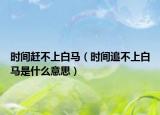 时间赶不上白马（时间追不上白马是什么意思）