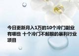 今日更新月入1万的10个冷门副业有哪些 十个冷门不起眼的暴利行业项目