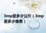 3mp是多少公斤（3mp是多少像素）
