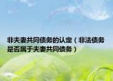 非夫妻共同债务的认定（非法债务是否属于夫妻共同债务）