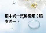 稻本润一集锦视频（稻本润一）