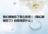 我们都被忘了很久歌词（《我们都被忘了》的歌词是什么）