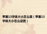 苹果13字体大小怎么调（苹果13字体大小怎么设置）