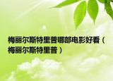 梅丽尔斯特里普哪部电影好看（梅丽尔斯特里普）