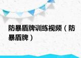 防暴盾牌训练视频（防暴盾牌）