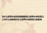 为什么双氧水会清洗狗狗的伤口双氧水涂在伤口上为什么会起泡为什么双氧水遇到伤口会起泡