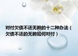 对付欠债不还无赖的十二种办法（欠债不还的无赖如何对付）