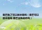 青芒熟了可以放冰箱吗（青芒可以放冰箱吗 青芒没熟能吃吗）
