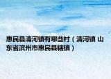 惠民县清河镇有哪些村（清河镇 山东省滨州市惠民县辖镇）
