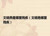 文晓燕是哪里残疾（文晓艳哪里残疾）