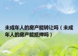未成年人的房产能转让吗（未成年人的房产能抵押吗）