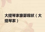 大提琴家豪瑟现状（大提琴家）