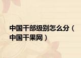 中国干部级别怎么分（中国干果网）
