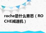 roche是什么意思（ROCHE减速机）
