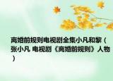 离婚前规则电视剧全集小凡和黎（张小凡 电视剧《离婚前规则》人物）