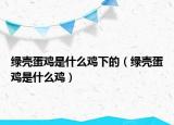 绿壳蛋鸡是什么鸡下的（绿壳蛋鸡是什么鸡）