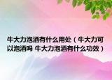 牛大力泡酒有什么用处（牛大力可以泡酒吗 牛大力泡酒有什么功效）