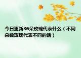 今日更新36朵玫瑰代表什么（不同朵数玫瑰代表不同的话）