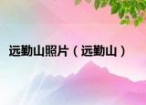 远勤山照片（远勤山）