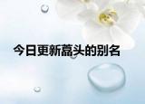 今日更新藠头的别名