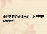 小世界理论谁提出的（小世界理论是什么）