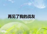 再见了我的战友