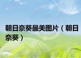 朝日奈葵最美图片（朝日奈葵）