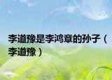 李道豫是李鸿章的孙子（李道豫）