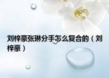 刘梓豪张琳分手怎么复合的（刘梓豪）