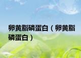 卵黄脂磷蛋白（卵黄脂磷蛋白）
