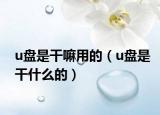 u盘是干嘛用的（u盘是干什么的）