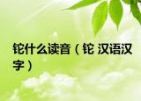 铊什么读音（铊 汉语汉字）