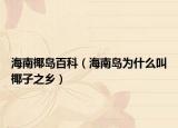 海南椰岛百科（海南岛为什么叫椰子之乡）