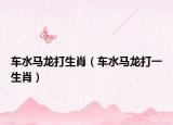 车水马龙打生肖（车水马龙打一生肖）