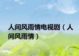 人间风雨情电视剧（人间风雨情）