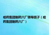 哈药集团制药六厂领导班子（哈药集团制药六厂）