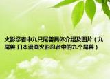 火影忍者中九只尾兽具体介绍及图片（九尾兽 日本漫画火影忍者中的九个尾兽）