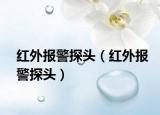 红外报警探头（红外报警探头）