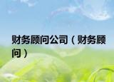 财务顾问公司（财务顾问）
