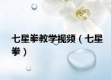 七星拳教学视频（七星拳）