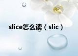 slice怎么读（slic）