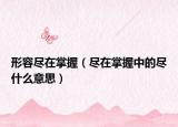 形容尽在掌握（尽在掌握中的尽什么意思）