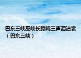 巴东三峡巫峡长猿鸣三声泪沾裳（巴东三峡）