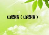山楂核（山楂核）
